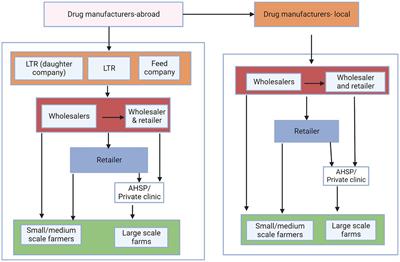 Mapping the flow of veterinary antibiotics in Kenya